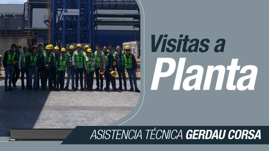 Visitas a planta